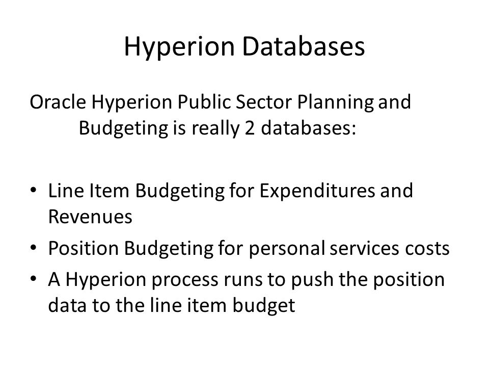 A description of the human resource budget process items